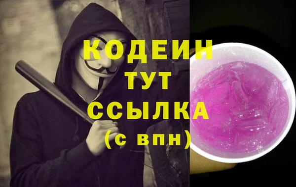 гашик Вяземский