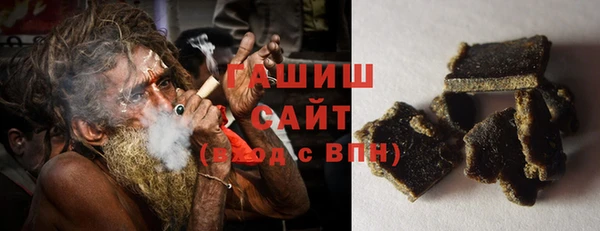 гашик Вяземский