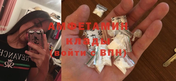 гашик Вяземский