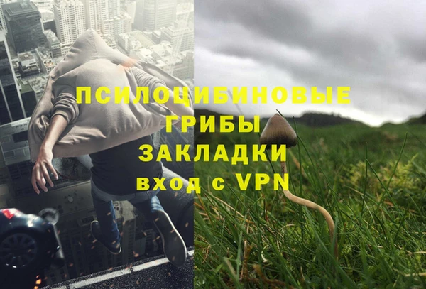 гашик Вяземский