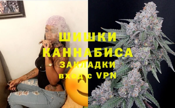 гашик Вяземский