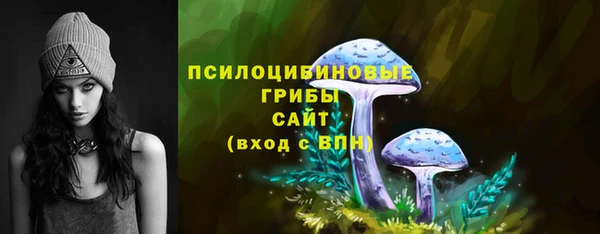 гашик Вяземский