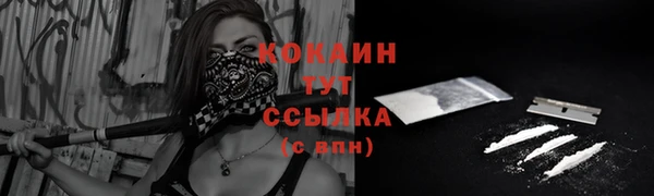 гашик Вяземский