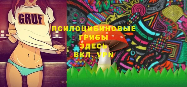 мдпв Вязьма