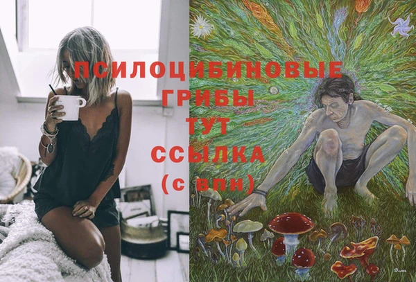 мдпв Вязьма