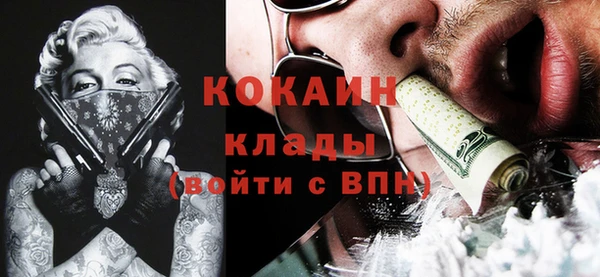 гашик Вяземский