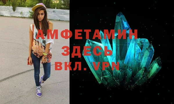 гашик Вяземский