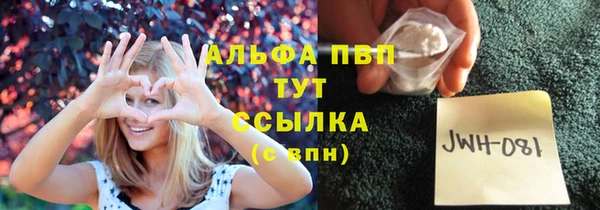 гашик Вяземский