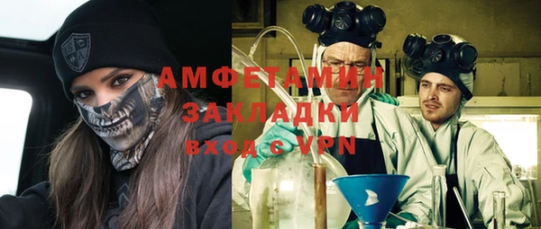 гашик Вяземский