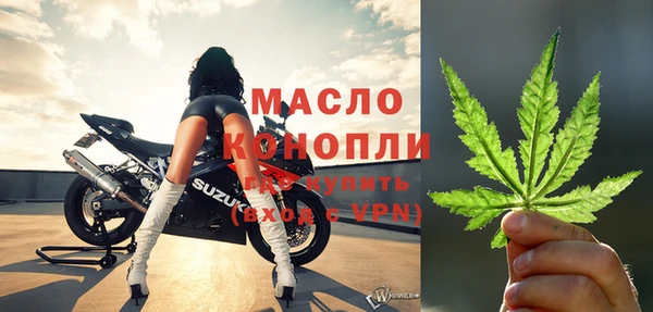 гашик Вяземский