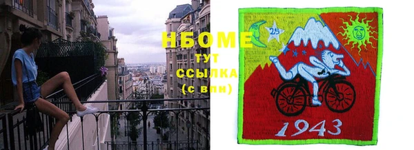 гашик Вяземский