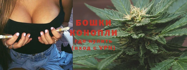 гашик Вяземский