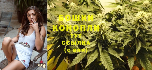гашик Вяземский