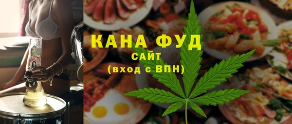 гашик Вяземский