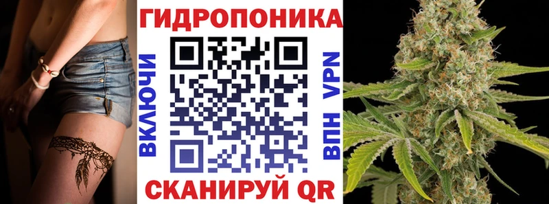 Конопля конопля  Купить закладки  Питкяранта 